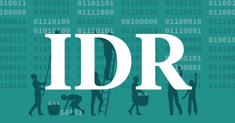 Maybe the IDR Process Isn’t the Only Problem featured image