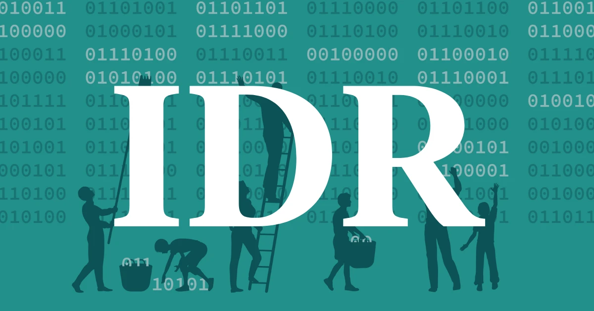 Maybe the IDR Process Isn’t the Only Problem